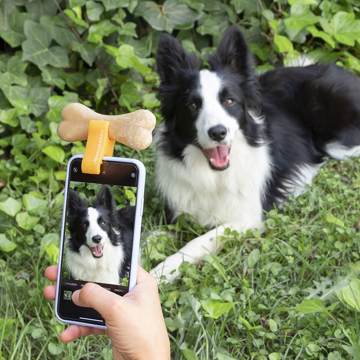 Pet Selfie Clip™ – Capturador De Atención Para Fotos Y Vídeos