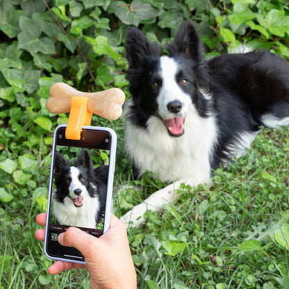 Pet Selfie Clip™ – Capturador De Atención Para Fotos Y Vídeos