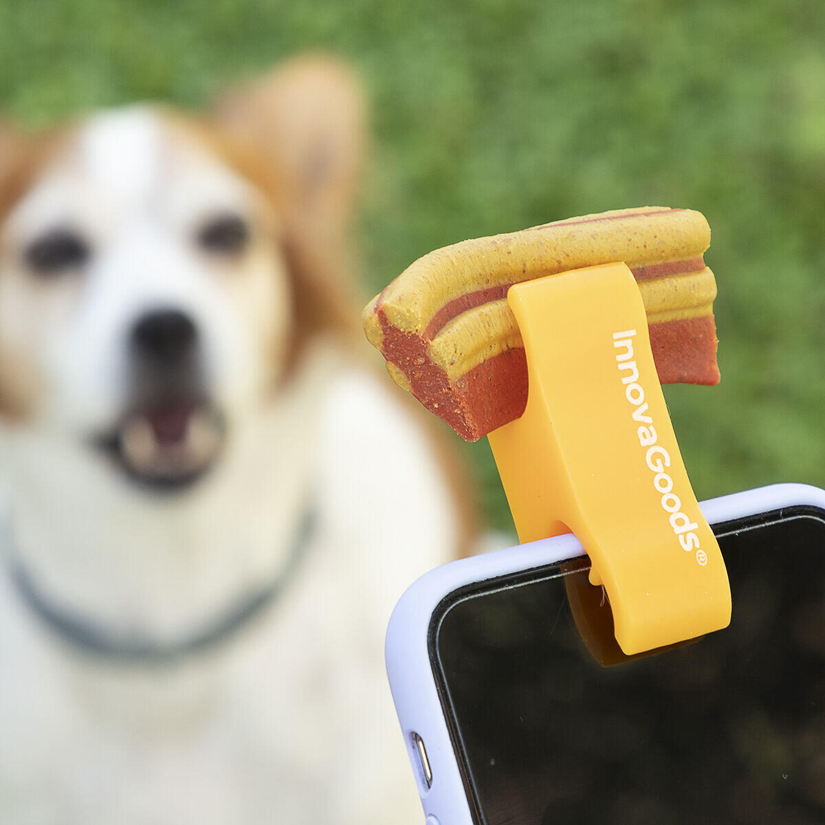 Pet Selfie Clip™ – Capturador De Atención Para Fotos Y Vídeos