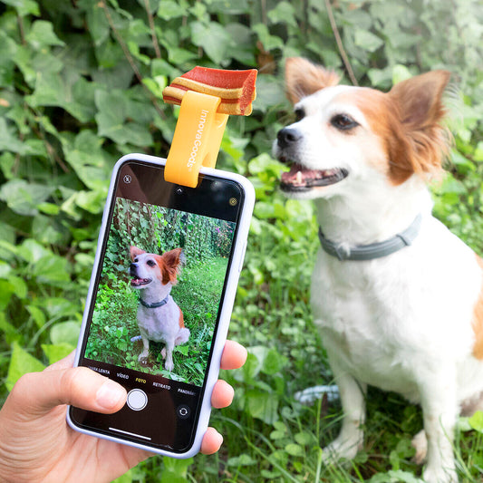 Pet Selfie Clip™ – Capturador De Atención Para Fotos Y Vídeos